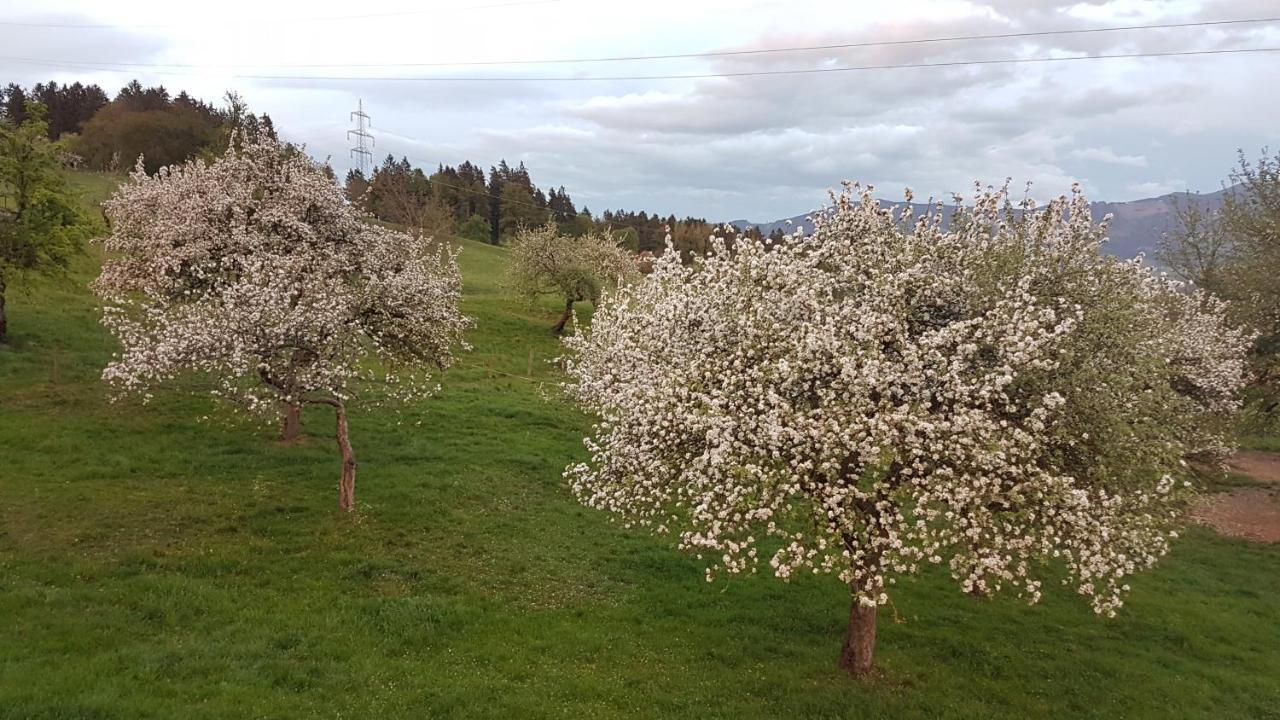 Ferienwohnungen Klimbacher โวลฟ์สแบร์ก ภายนอก รูปภาพ