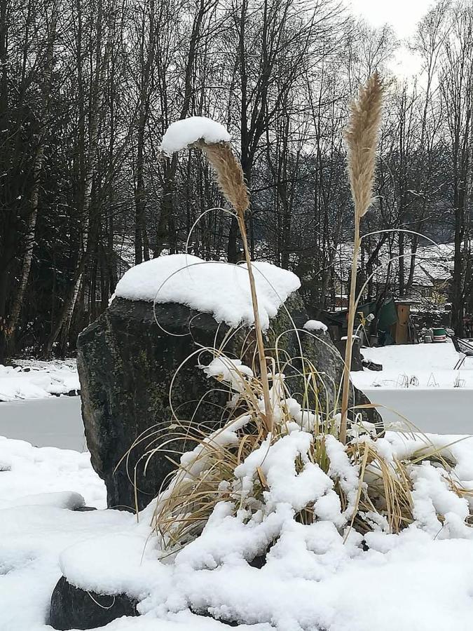 Ferienwohnungen Klimbacher โวลฟ์สแบร์ก ภายนอก รูปภาพ