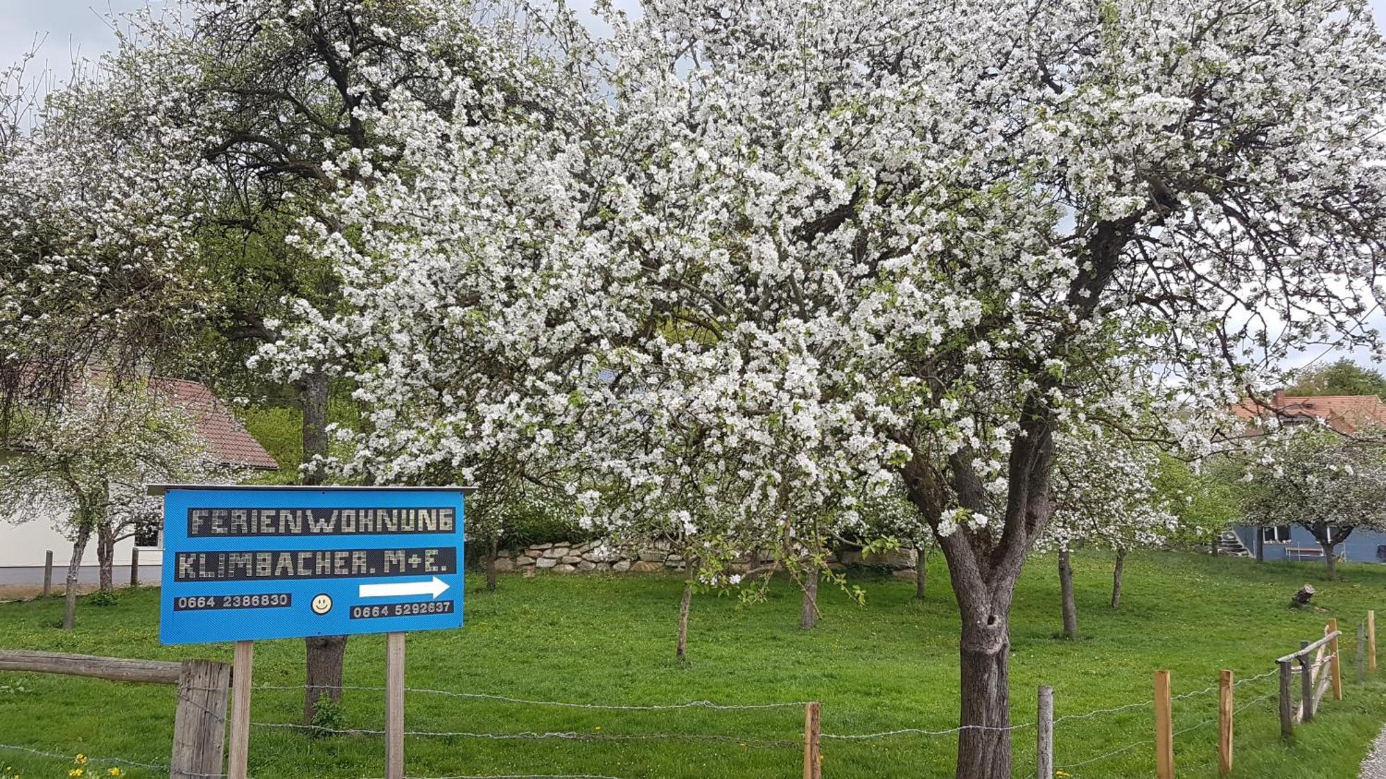 Ferienwohnungen Klimbacher โวลฟ์สแบร์ก ห้อง รูปภาพ