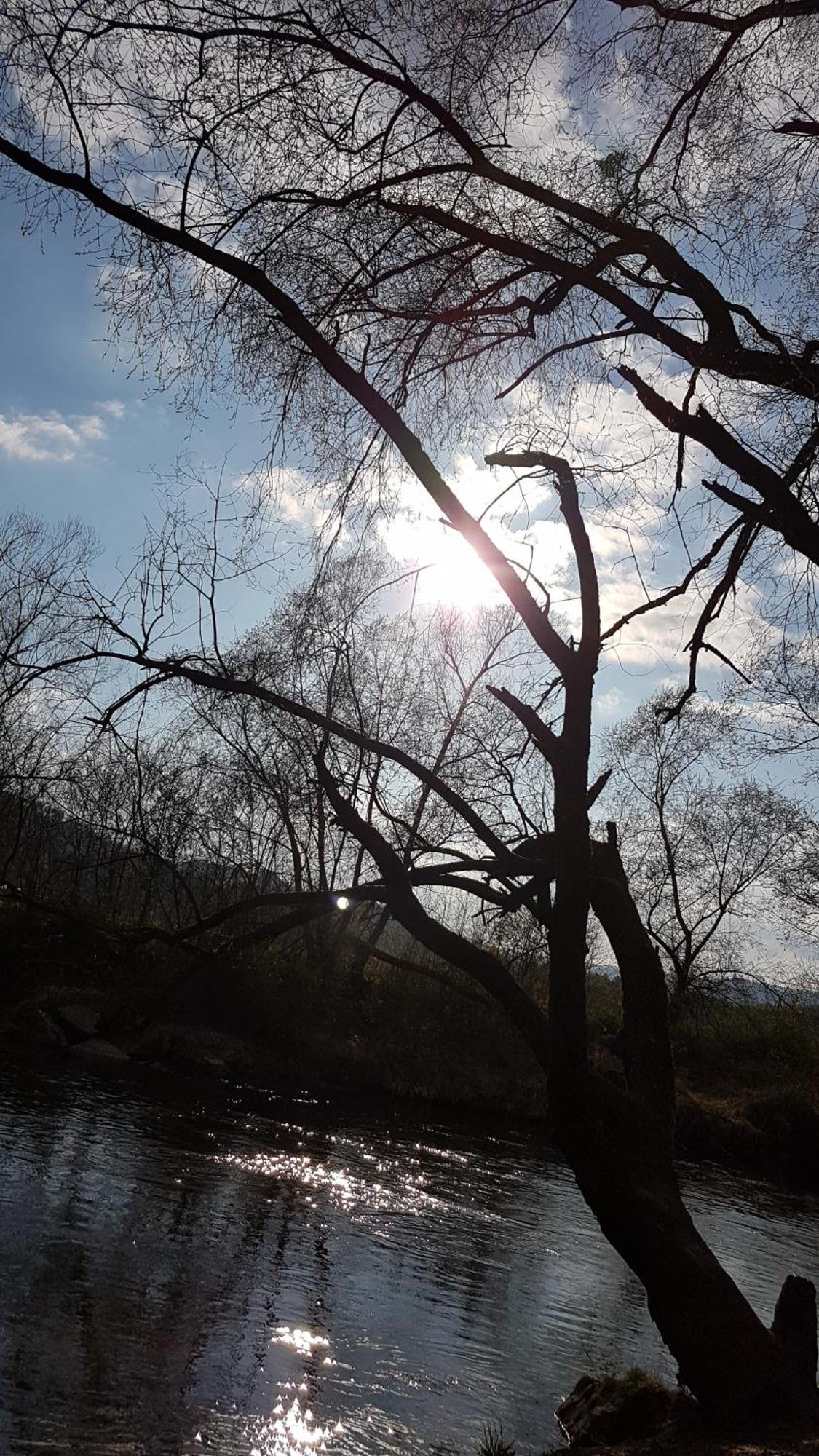 Ferienwohnungen Klimbacher โวลฟ์สแบร์ก ห้อง รูปภาพ